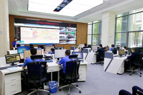 区政协视察全区智慧城管服务系统建设情况 科学化、智能化、智慧化推动城市治理新格局